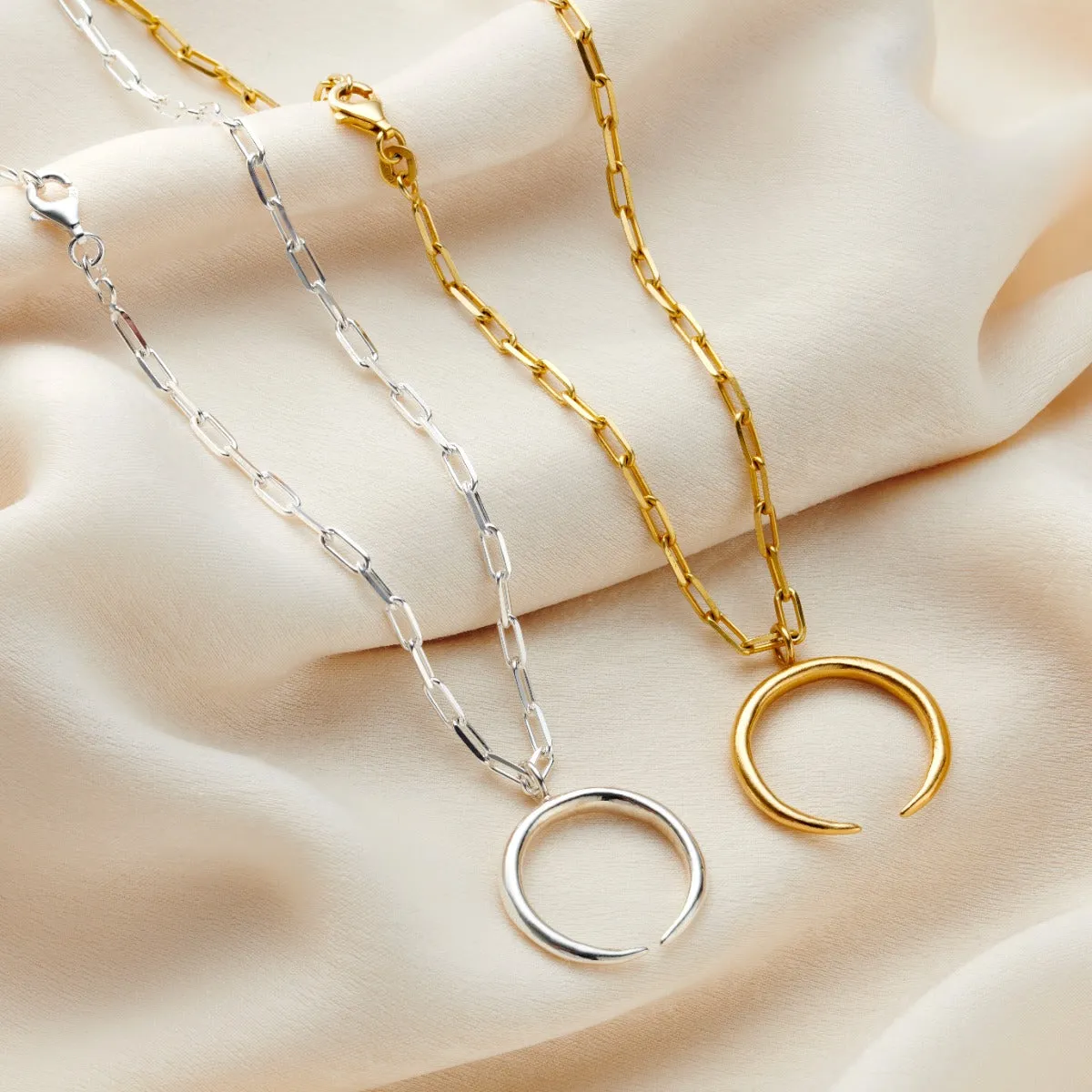 Chain Link Horn Necklace
