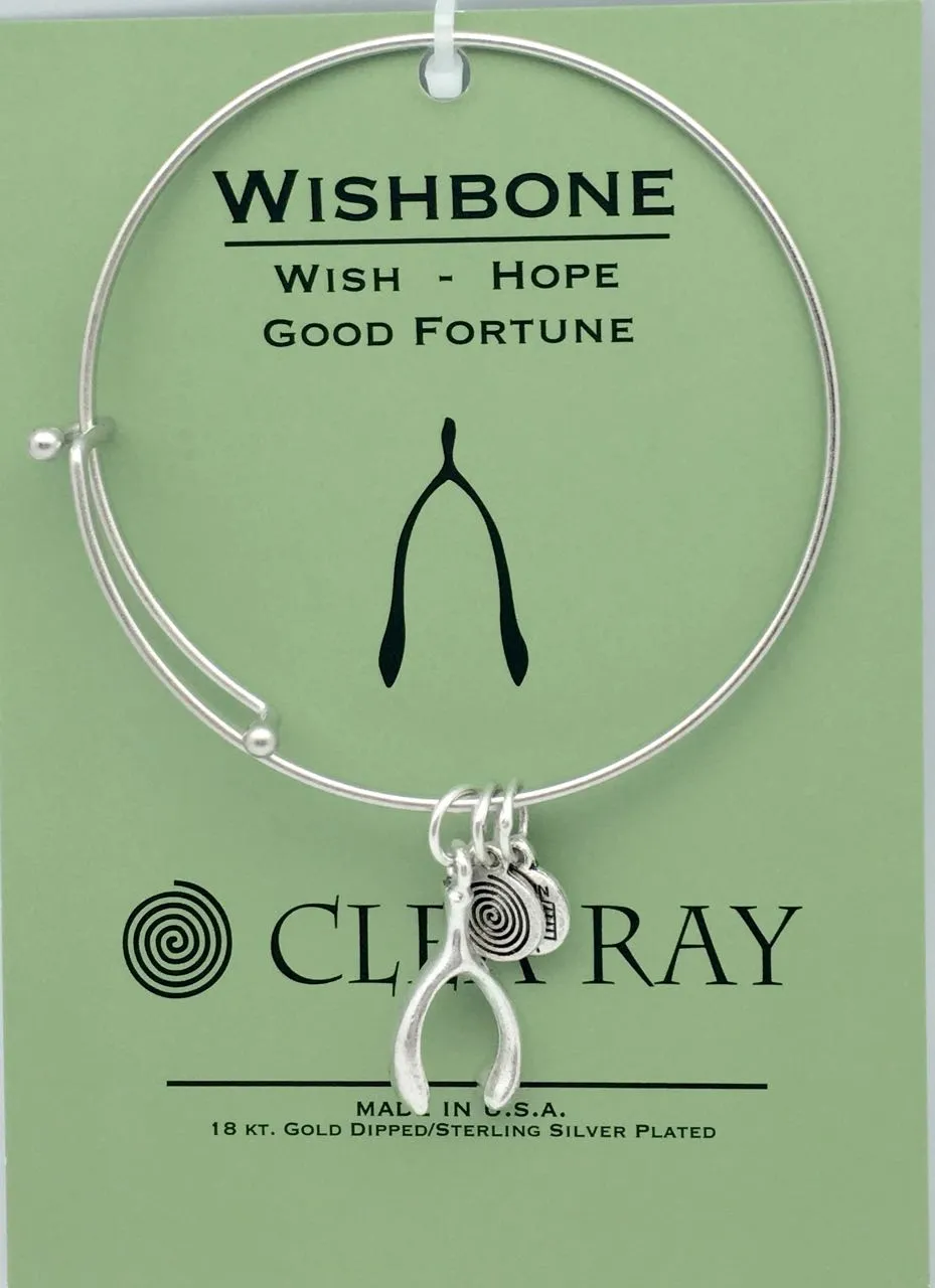 Clea Ray Silver Bangle Bracelets with Inspirational Charms